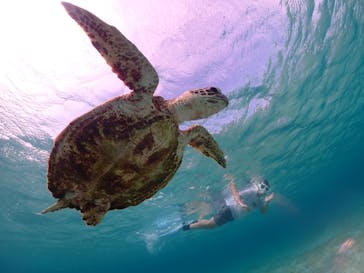 宮古島マリンショップSmileyに投稿された画像（2024/4/29）