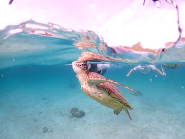 宮古島マリンショップSmileyに投稿された画像（2024/4/29）