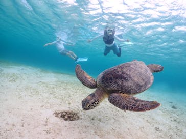 宮古島マリンショップSmileyに投稿された画像（2024/4/29）