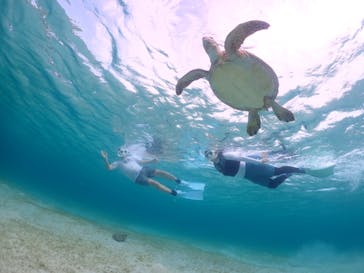 宮古島マリンショップSmileyに投稿された画像（2024/4/29）