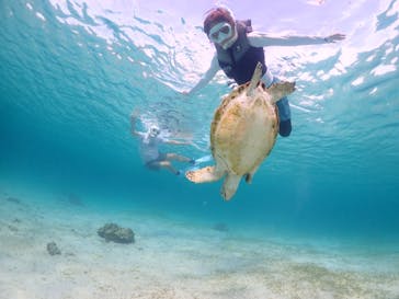 宮古島マリンショップSmileyに投稿された画像（2024/4/29）