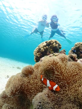 宮古島マリンショップSmileyに投稿された画像（2024/4/29）