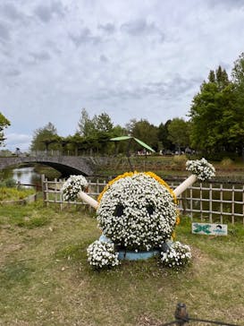 浜名湖花博2024に投稿された画像（2024/4/29）