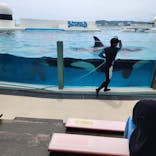 鴨川シーワールドに投稿された画像（2024/4/29）
