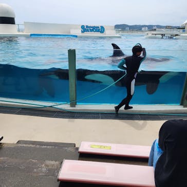 鴨川シーワールドに投稿された画像（2024/4/29）