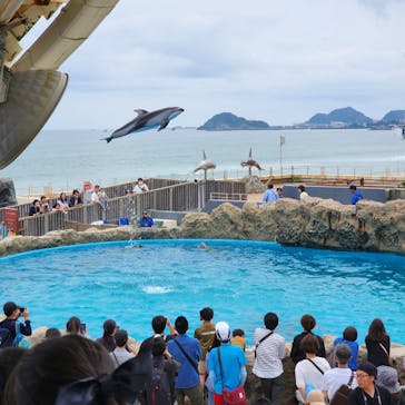 鴨川シーワールドに投稿された画像（2024/4/29）