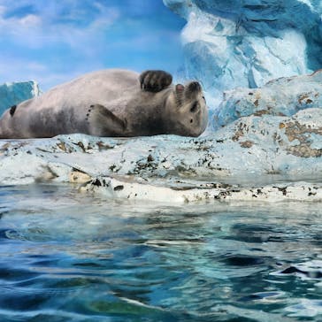 鴨川シーワールドに投稿された画像（2024/4/29）