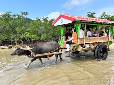 石垣島ドリーム観光に投稿された画像（2024/4/29）