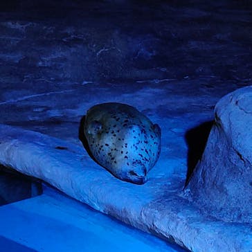 マリンワールド海の中道に投稿された画像（2024/4/29）