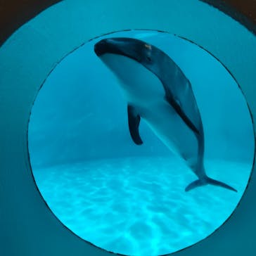 マリンワールド海の中道に投稿された画像（2024/4/29）