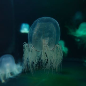 マリンワールド海の中道に投稿された画像（2024/4/29）