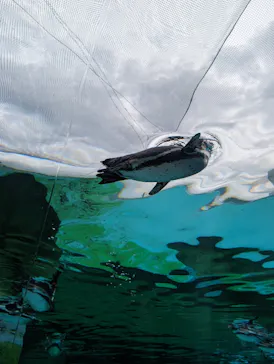 天王寺動物園に投稿された画像（2024/4/29）
