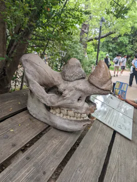 天王寺動物園に投稿された画像（2024/4/29）