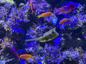 名古屋港水族館に投稿された画像（2024/4/29）