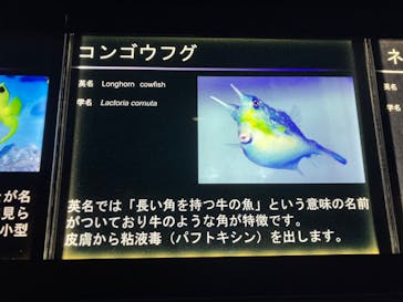 名古屋港水族館に投稿された画像（2024/4/29）