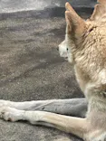 天王寺動物園に投稿された画像（2024/4/29）