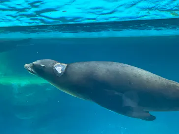 天王寺動物園に投稿された画像（2024/4/29）