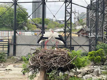 天王寺動物園に投稿された画像（2024/4/29）