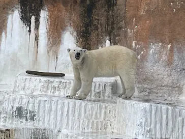 天王寺動物園に投稿された画像（2024/4/29）