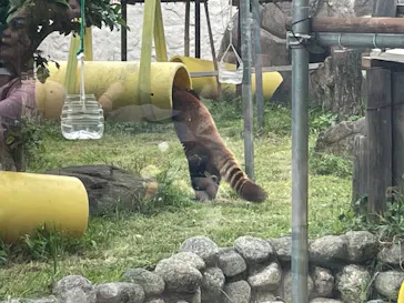 天王寺動物園に投稿された画像（2024/4/29）