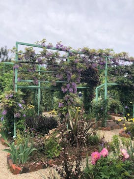 浜名湖花博2024に投稿された画像（2024/4/29）