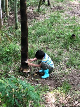 農業公園信貴山のどか村に投稿された画像（2024/4/29）