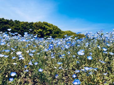 万博記念公園に投稿された画像（2024/4/29）