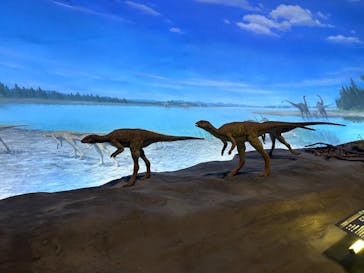 福井県立恐竜博物館に投稿された画像（2024/4/29）