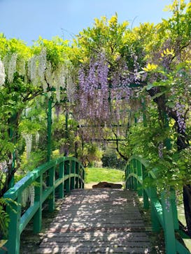 浜名湖花博2024に投稿された画像（2024/4/29）