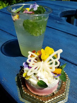 浜名湖花博2024に投稿された画像（2024/4/29）