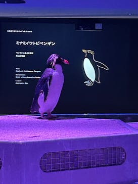 AOAO SAPPOROに投稿された画像（2024/4/29）