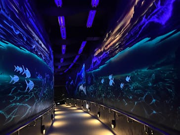 マリンワールド海の中道に投稿された画像（2024/4/29）