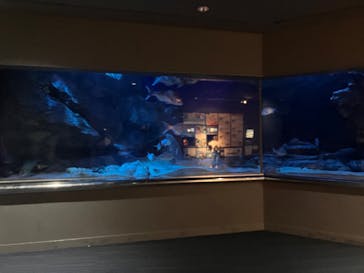 マリンワールド海の中道に投稿された画像（2024/4/29）