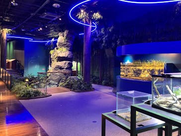 マリンワールド海の中道に投稿された画像（2024/4/29）