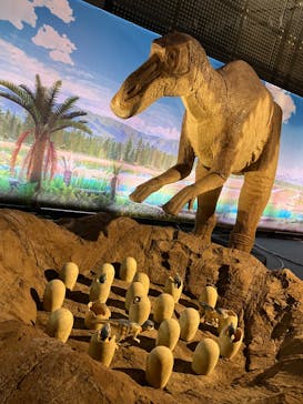 オダイバ恐竜博覧会2024 -福井から“ヤツラ”が新幹線でやってくる！-に投稿された画像（2024/4/29）