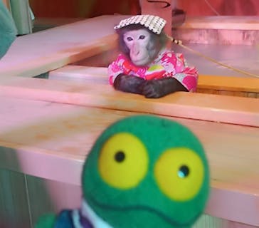 おさるの湯もみ処　おさ湯に投稿された画像（2024/4/29）