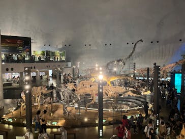 福井県立恐竜博物館に投稿された画像（2024/4/29）
