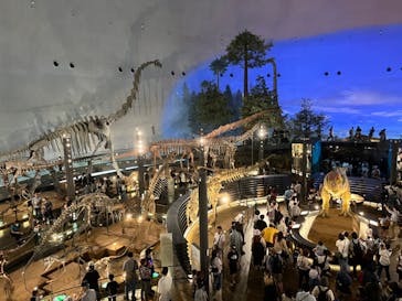 福井県立恐竜博物館に投稿された画像（2024/4/29）