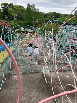 日本モンキーパークに投稿された画像（2024/4/29）