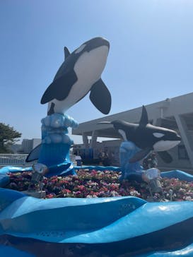 鴨川シーワールドに投稿された画像（2024/4/29）