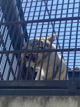 宇都宮動物園に投稿された画像（2024/4/30）