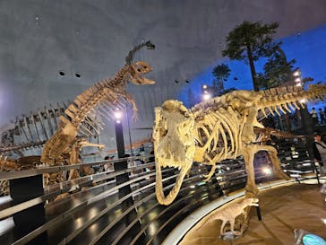 福井県立恐竜博物館に投稿された画像（2024/4/29）