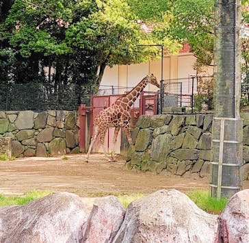 横浜市立金沢動物園に投稿された画像（2024/4/29）