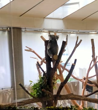 横浜市立金沢動物園に投稿された画像（2024/4/29）