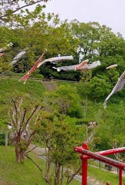横浜市立金沢動物園に投稿された画像（2024/4/29）