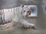 宇都宮動物園に投稿された画像（2024/4/29）