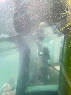 環境水族館アクアマリンふくしまに投稿された画像（2024/4/29）