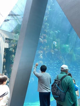 環境水族館アクアマリンふくしまに投稿された画像（2024/4/29）
