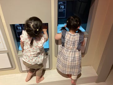 横浜開運水族館 フォーチュンアクアリウムに投稿された画像（2024/4/29）