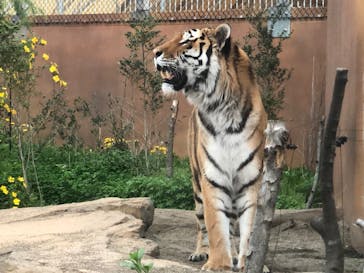 那須どうぶつ王国に投稿された画像（2024/4/30）